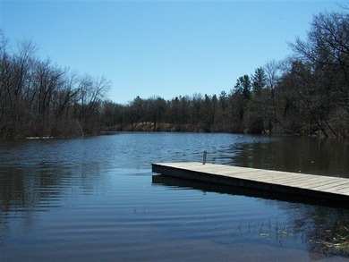 Wooded buildable lot with the access to Yellow River. Just over - photo 31