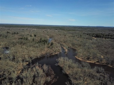Wooded buildable lot with the access to Yellow River. Just over - photo 34