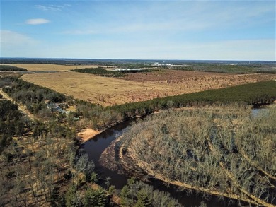 Wooded buildable lot with the access to Yellow River. Just over - photo 37