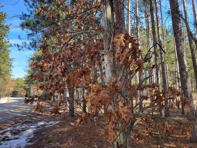 Wooded buildable lot with the access to Yellow River. Just over - photo 40