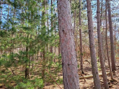 Wooded buildable lot with the access to Yellow River. Just over - photo 41