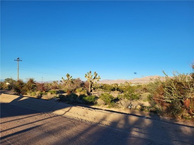 Lake Mead Lot For Sale in Meadview Arizona