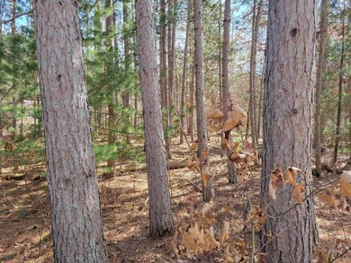 Wooded buildable lot with the access to Yellow River. Just over - photo 42
