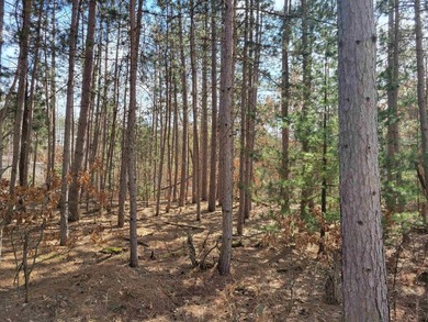 Wooded buildable lot with the access to Yellow River. Just over - photo 43