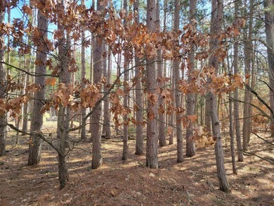 Wooded buildable lot with the access to Yellow River. Just over - photo 44