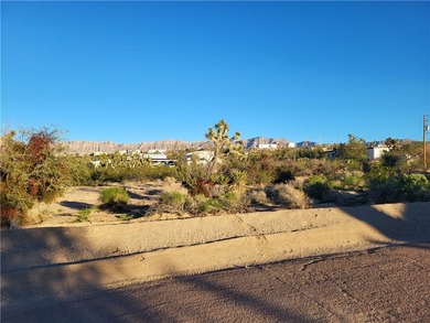 Corner Lot with 2 Street Access and All Utilities Available - photo 4