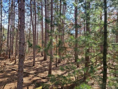 Wooded buildable lot with the access to Yellow River. Just over - photo 45