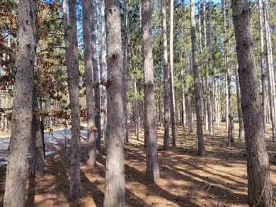 Wooded buildable lot with the access to Yellow River. Just over - photo 46