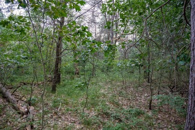 Wooded buildable lot with the access to Yellow River. Just over - photo 47