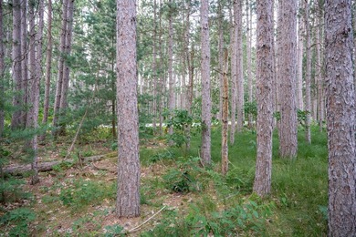 Wooded buildable lot with the access to Yellow River. Just over - photo 48