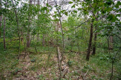 Wooded buildable lot with the access to Yellow River. Just over - photo 49