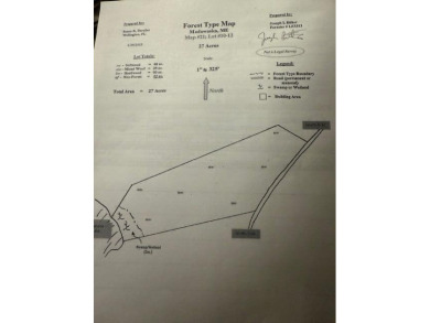 Lake Acreage For Sale in Madawaska, Maine
