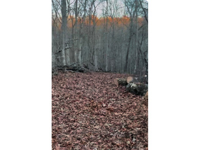 Beautiful wooded 1.5Acre lot in the Quiet Country Setting of - photo 2