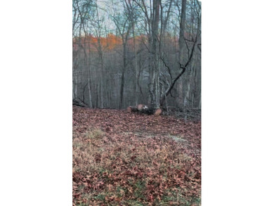 Beautiful wooded 1.5Acre lot in the Quiet Country Setting of - photo 3