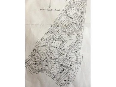 Beautiful wooded 1.5Acre lot in the Quiet Country Setting of - photo 6