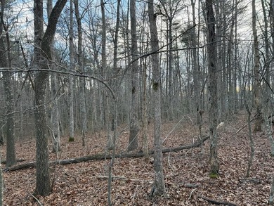 Beautiful wooded 1.5Acre lot in the Quiet Country Setting of - photo 7