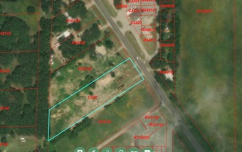 Commercial Property - Lake Commercial For Sale in Tool, Texas