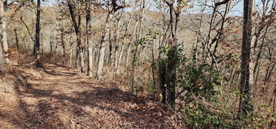Hollister & Branson, MO - FOR SALE 1400 contiguous acres with - photo 12
