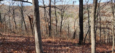 Hollister & Branson, MO - FOR SALE 1400 contiguous acres with - photo 13