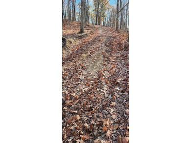 Hollister & Branson, MO - FOR SALE 1400 contiguous acres with - photo 14