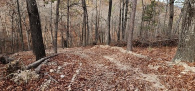 Hollister & Branson, MO - FOR SALE 1400 contiguous acres with - photo 15