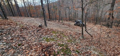Hollister & Branson, MO - FOR SALE 1400 contiguous acres with - photo 16