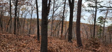 Hollister & Branson, MO - FOR SALE 1400 contiguous acres with - photo 17
