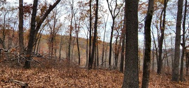 Hollister & Branson, MO - FOR SALE 1400 contiguous acres with - photo 18