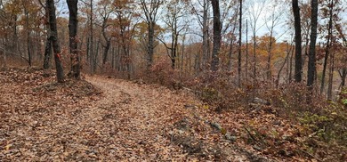 Hollister & Branson, MO - FOR SALE 1400 contiguous acres with - photo 19