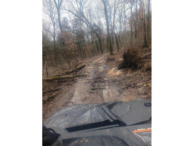 Hollister & Branson, MO - FOR SALE 1400 contiguous acres with - photo 20