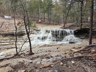Hollister & Branson, MO - FOR SALE 1400 contiguous acres with - photo 21