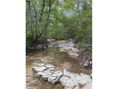 Hollister & Branson, MO - FOR SALE 1400 contiguous acres with - photo 24