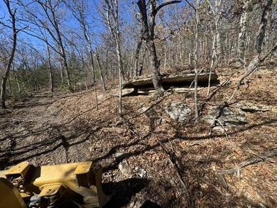 Hollister & Branson, MO - FOR SALE 1400 contiguous acres with - photo 26