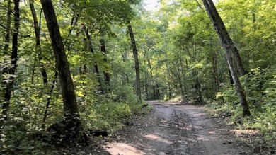 Hollister & Branson, MO - FOR SALE 1400 contiguous acres with - photo 28