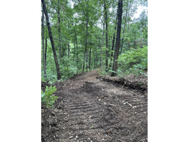Hollister & Branson, MO - FOR SALE 1400 contiguous acres with - photo 29