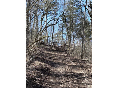 Hollister & Branson, MO - FOR SALE 1400 contiguous acres with - photo 31