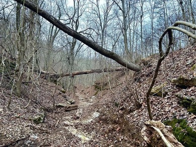 Hollister & Branson, MO - FOR SALE 1400 contiguous acres with - photo 32