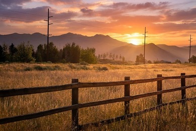 Build your dream home on this exceptional 1.0-acre lot in - photo 2
