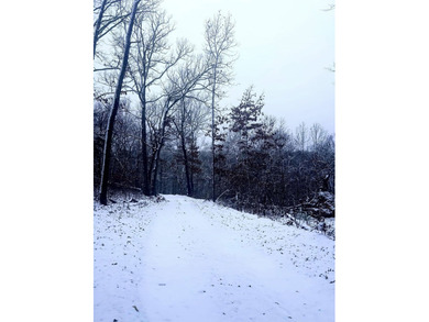 Hollister & Branson, MO - FOR SALE 1400 contiguous acres with - photo 33