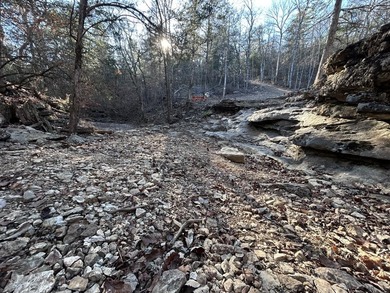 Hollister & Branson, MO - FOR SALE 1400 contiguous acres with - photo 34