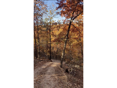 Hollister & Branson, MO - FOR SALE 1400 contiguous acres with - photo 35