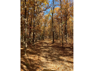 Hollister & Branson, MO - FOR SALE 1400 contiguous acres with - photo 36