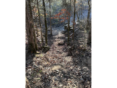 Hollister & Branson, MO - FOR SALE 1400 contiguous acres with - photo 37