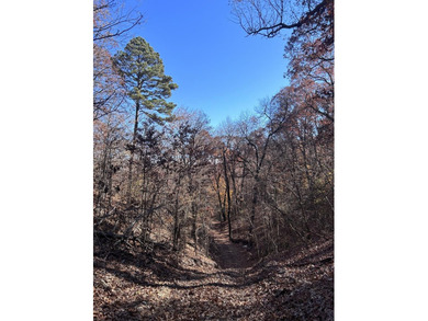 Hollister & Branson, MO - FOR SALE 1400 contiguous acres with - photo 38