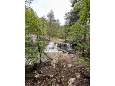 Hollister & Branson, MO - FOR SALE 1400 contiguous acres with - photo 39