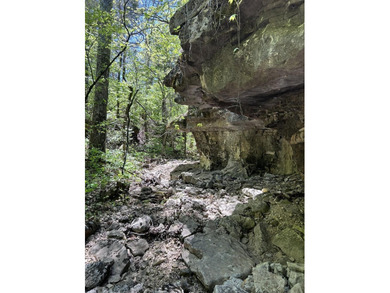 Hollister & Branson, MO - FOR SALE 1400 contiguous acres with - photo 40