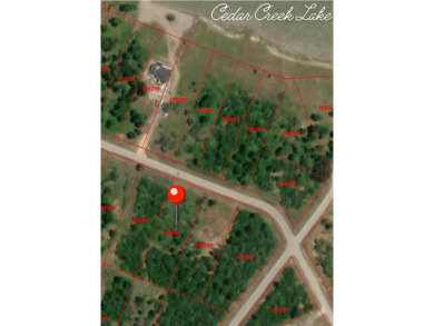 Lake Lot For Sale in Kemp, Texas