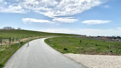 Perched above Utah County with sweeping views in every direction - photo 15