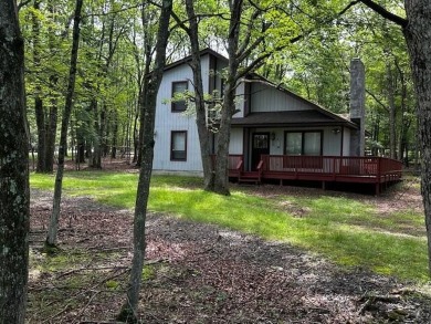 Lake Home For Sale in Albrightsville, Pennsylvania