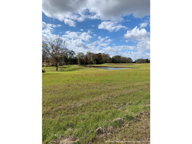 This 25.48+/- acre property in Hinds County combines residential - photo 11